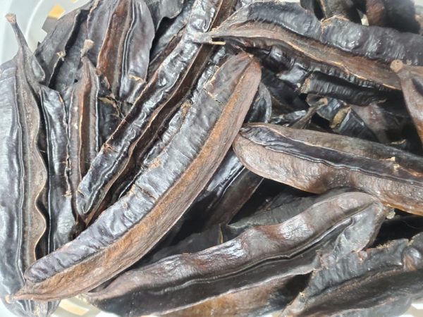 Aidan Fruit/Prekese/Tetrapleura tetraplera/Yuayak/uhio/3pcs/6pcs/10pcs