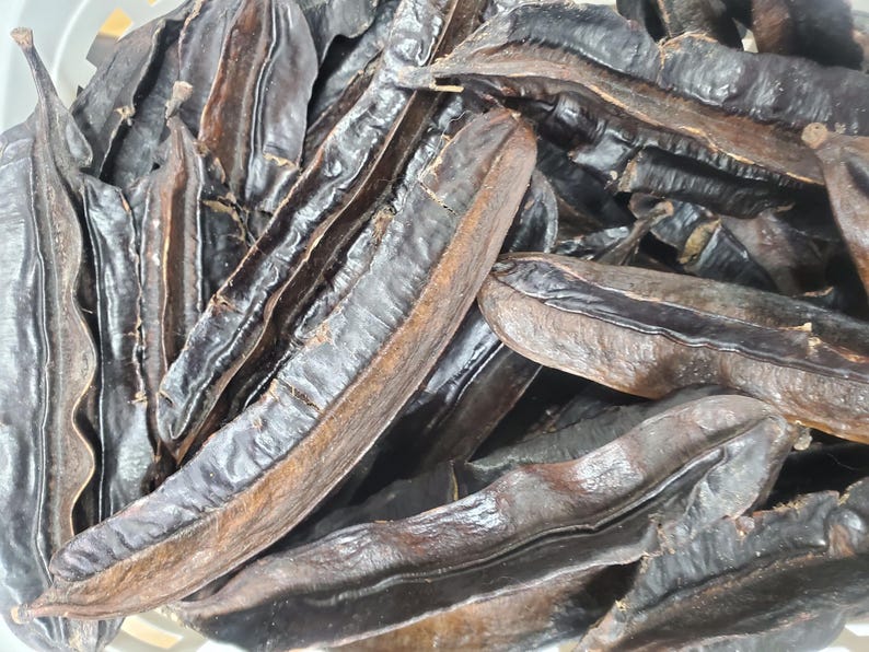 Aidan Fruit/Prekese/Tetrapleura tetraplera/Yuayak/uhio/3pcs/6pcs/10pcs